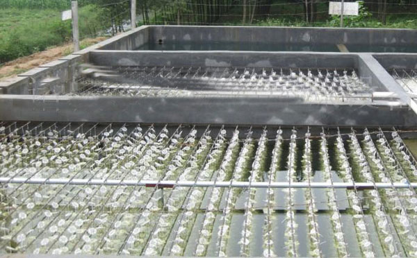 屠宰廢水處理成套設備產(chǎn)品優(yōu)勢 屠宰廢水處理成套設備產(chǎn)品優(yōu)勢